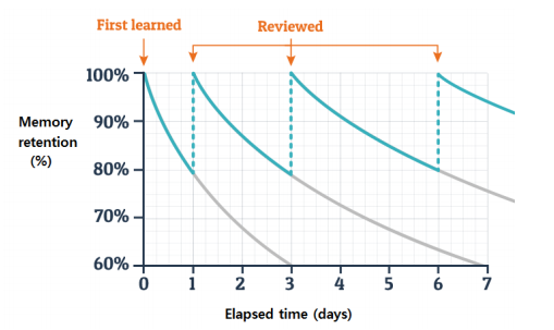 Spaced Repetition Illustration